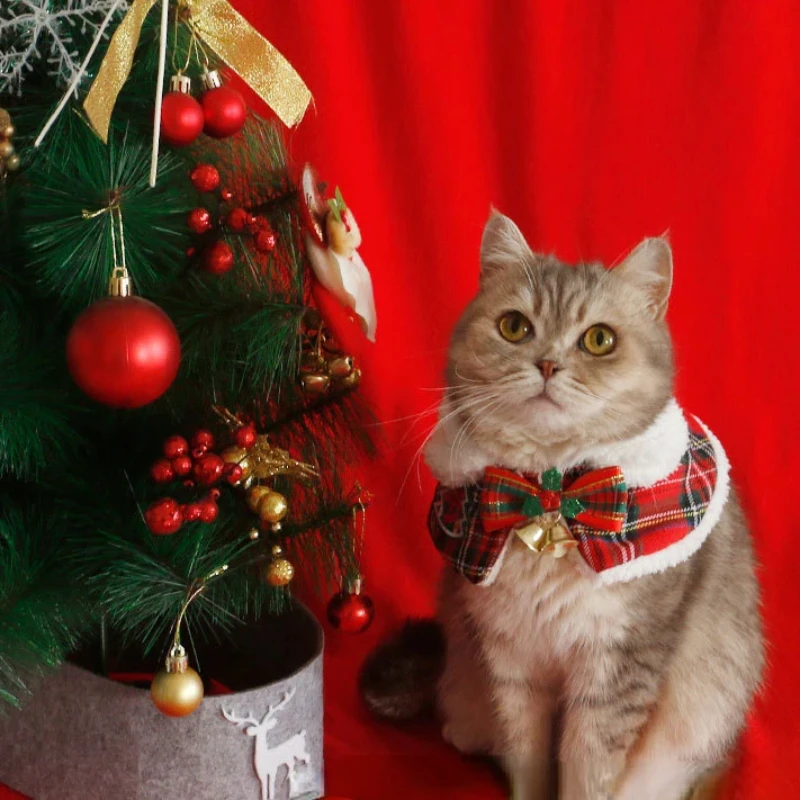 Warm Teddy Collar Pet Scarf Ca - Winter Clothing English reseña y precio